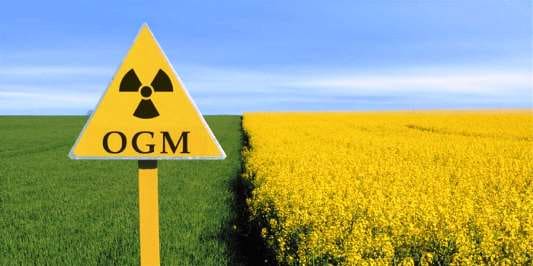 CRISPR-Cas9_OGM