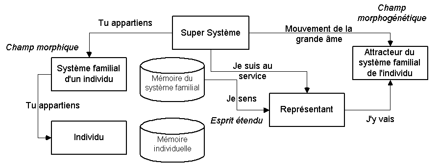 Champ-morphique-résonances-morphogénétiques