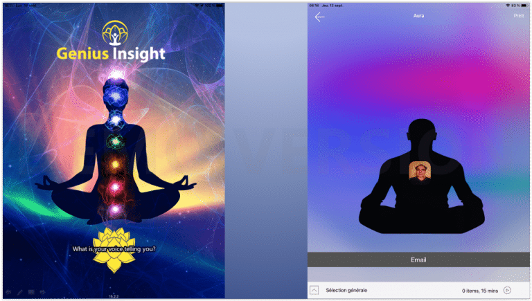 Genius_Insight_Naturoquantique_3
