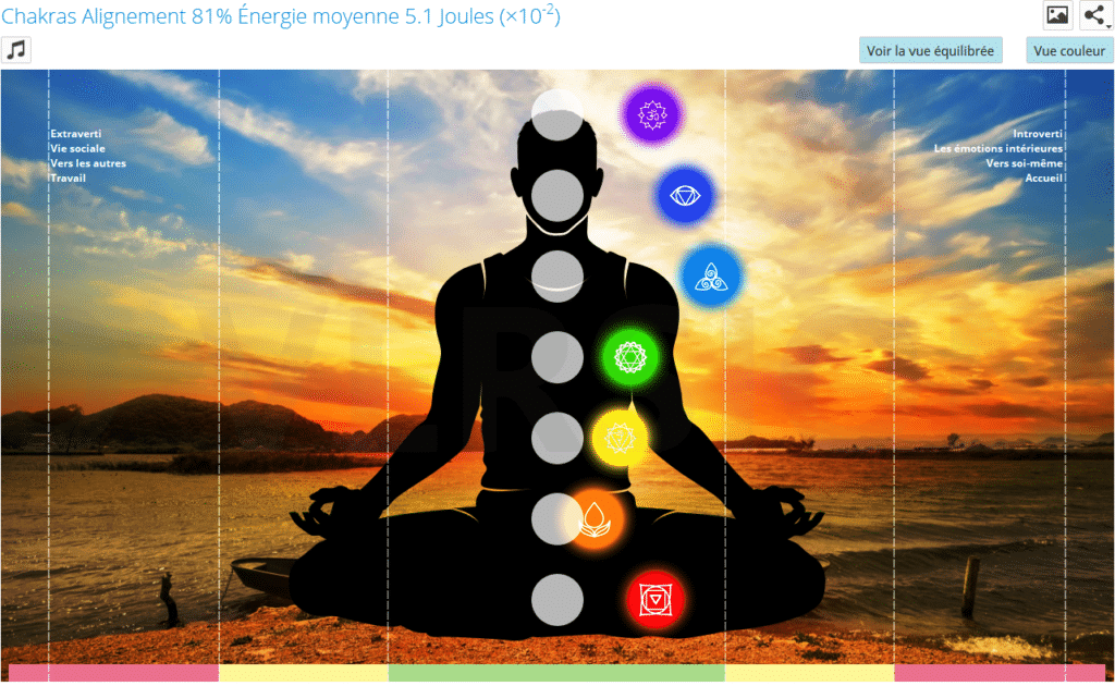 Bilan-bioenergetique-Biowell-chakras