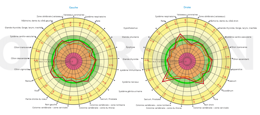 Bilan-bioenergetique-biowell-Energie
