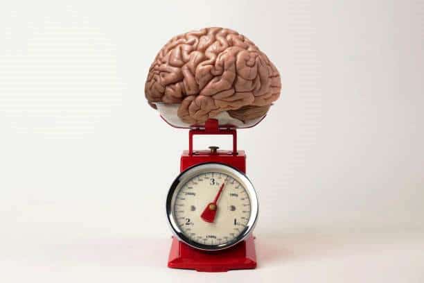 Memoire-masse-graisseuse-communication-cellulaire