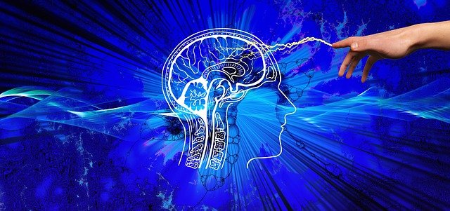 Hologramme-Cerveau-quantique