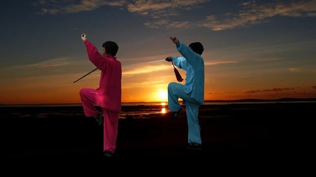 Tenségrité-Taichi